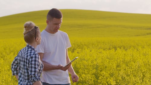 Farmers Discussing While Using Tablet Computer At Farm