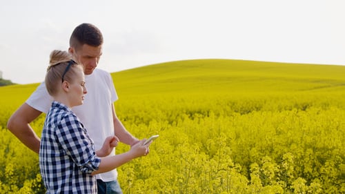 Farmers Discussing While Using Tablet Computer At Farm