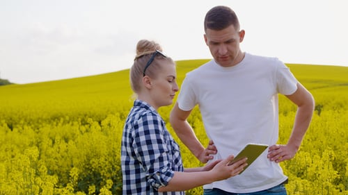 Farmers Discussing while Using Tablet Computer at Farm