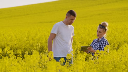 Farmers Discussing While Using Tablet Computer At Farm