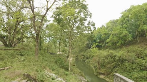 Parque verde en Pokhara, Nepal