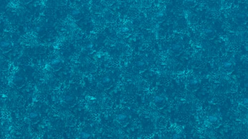 Seamless Loop of Blue Water Surface with Rocky Seabed