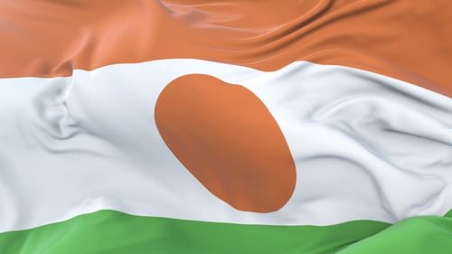 Dynamic Waving Flag of Niger