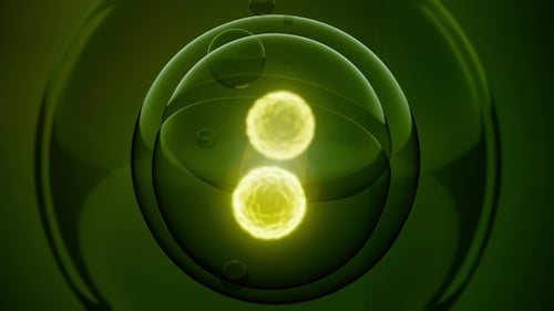Rotate Cell Division