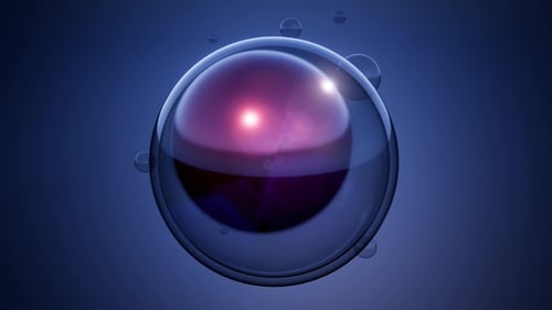 Rotate Cell Division