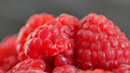 Fresh and Sweet Raspberries