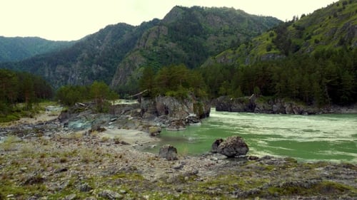 Aerial view Siberian River and Forest Video