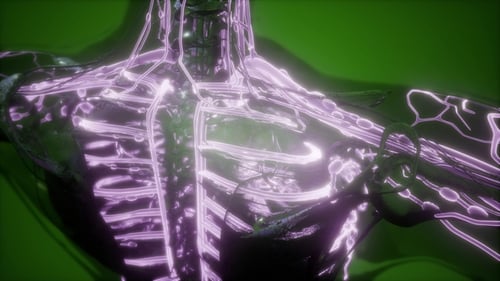 Human Body with Glow Blood Vessels
