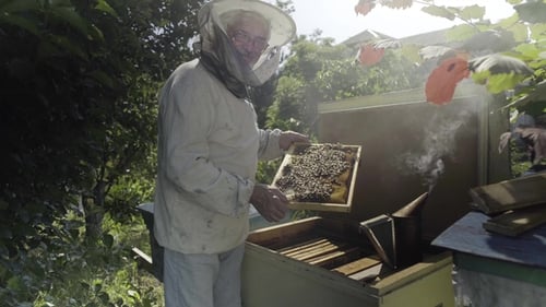 Beekeeper Holding Honeycombs and Standing Near Open Bee Hive in the Garden