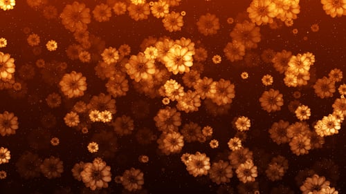 Fleurs flottantes