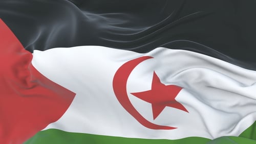Western Sahara National Flag Waving in Realistic Seamless Loop