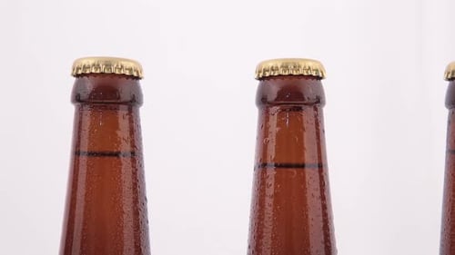 Conveyor Bottles of Beer with Drops Isolated on White Background