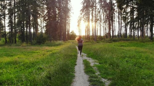 Sports Woman Running in Woods Along Trail