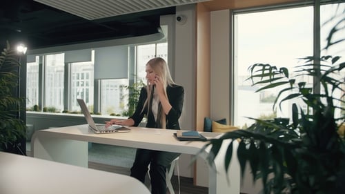 Woman Works at Laptop and Talks on Phone