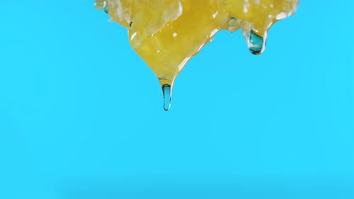 Extreme Close Up Drop of Tasty and Sweet Honey Falls From the Honeycomb