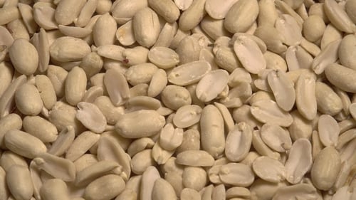 Close Up of Shelled Peanuts Piled