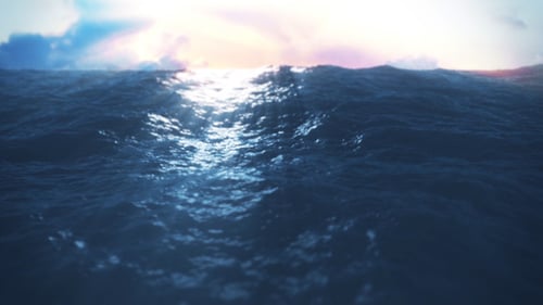 Waves