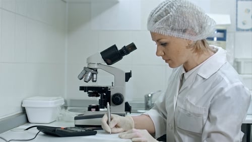 Woman Scientist Works at Microscope in Laboratory