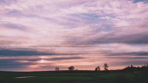 A Magnificent Sunset Over a Field with Pink Hues on the Clouds