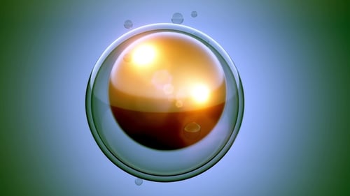 Girar divisão celular