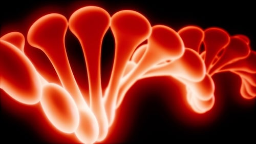 DNA Model Rotate