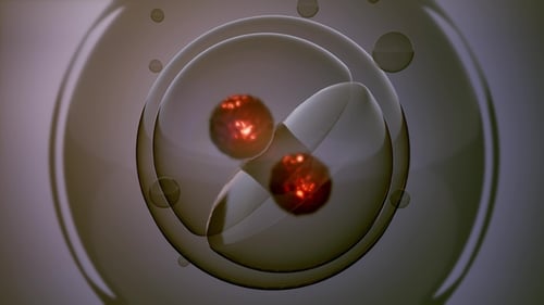 3D Animated Cell Division with Glowing Nuclei