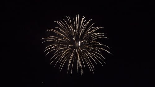 Beautiful Festive Salute in Night Sky