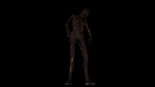 Zombie Idle Front View