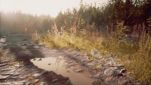 Dirt Country Road in the Field in Autumn on a Sunny Day