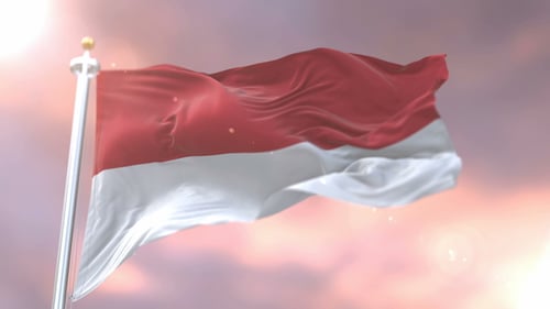 Realistic Waving Flag of Indonesia Loop Animation