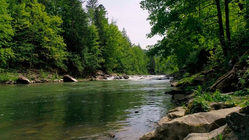 Aerial View of Mountain River in Summer.