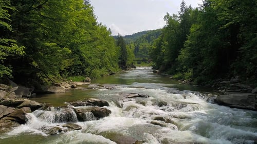 Aerial View of Mountain River in Summer.