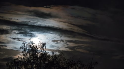 Vollmond bewegt sich am Nachthimmel durch dunkle Wolken und Bäume
