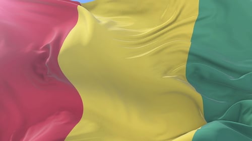 Guinea National Flag Seamless Realistic Waving Animation