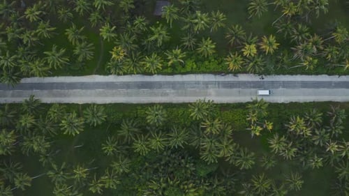 jungle area in the philippines, aerial view