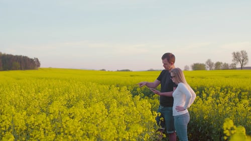 Farmers Discussing Over Tablet Computer At Rapeseed Field