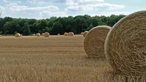 Harvest Field with Straw Bale