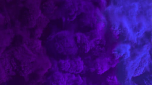 Indigo Smoke Transitions