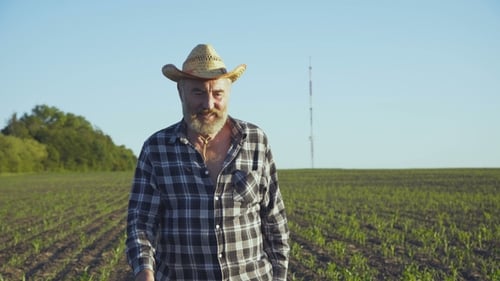 Portrait of the Old Farmer in Hat Walks at Camera on the Corn Field