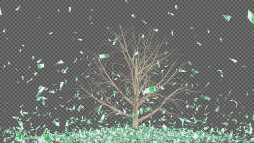 Euro Money Tree