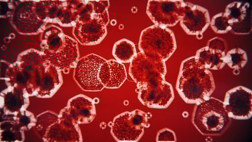 Animated Abstract Red Microscopic Cells Background Loop