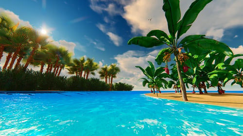 The Paradise