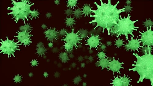 Cellules virales bactériennes mortelles dans le sang
