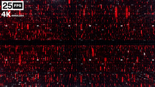 Red Digital Trade 02 4K