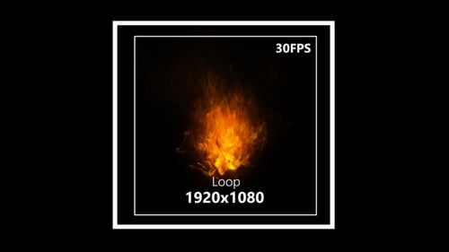 Particle Loop