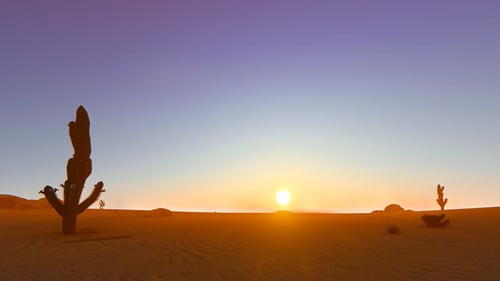 Desert In The Sunset