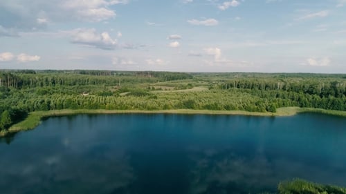 Fly Over Lake Around Forest