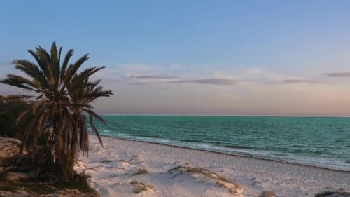 Beautiful Colorful Seascape with Palm Trees on Sandy Beach