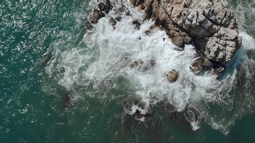 Aerial View of Birds That Start Flying When Ocean Wave Hits the Rocks
