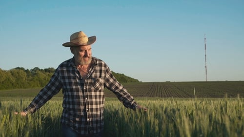 Bearded Man Walks Through Rural Field of Crops